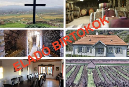 Eladó borászatok!