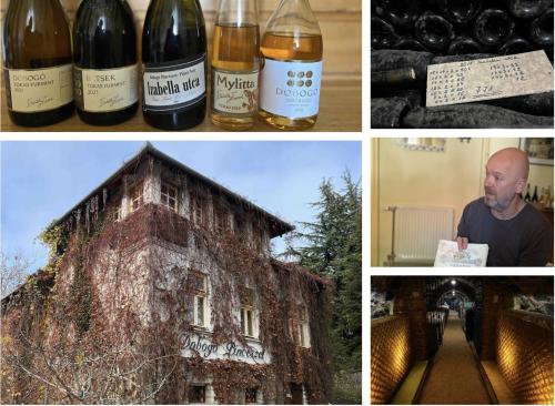 Ahogy a szív dobog / ritmusára annak