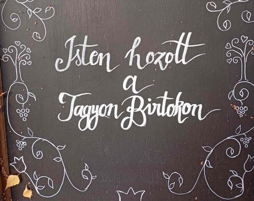 A Nivegy-völgyi ösztönborász