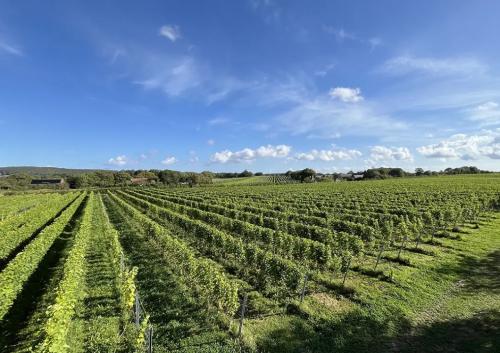 A Malmö-Göteborg tengely