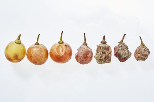 Kihívások, karakter és kincsek